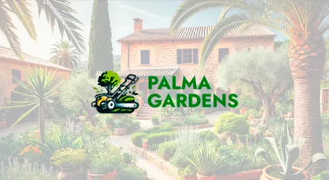 Captura de Digitalización de Empresa en Mallorca